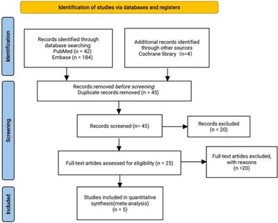 Efficacy and safety of neoadjuvant immunotherapy plus chemotherapy followed by adjuvant immunotherapy in resectable non-small cell lung cancer: a meta-analysis of phase 3 clinical trials